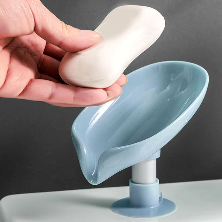 Porte-savon solide ventouse