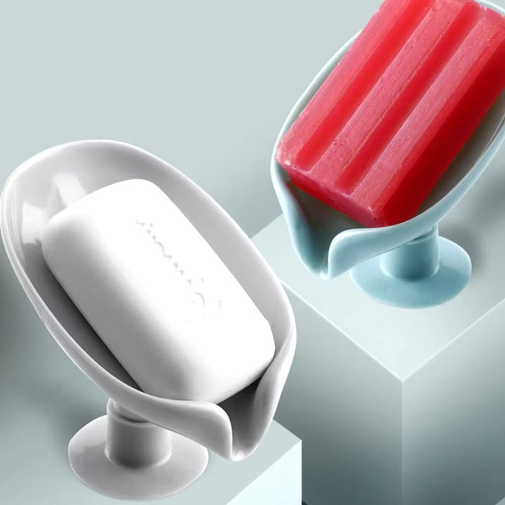 Porte-savon solide ventouse