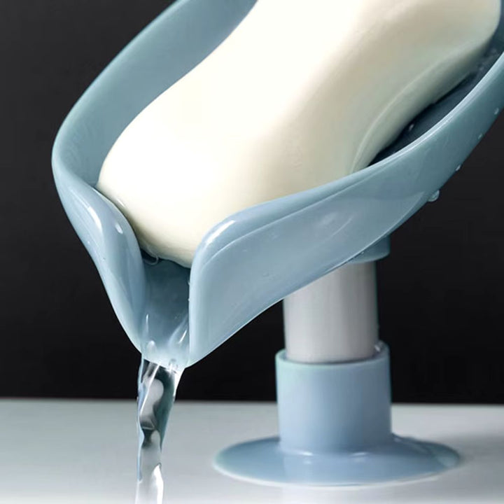 Porte-savon solide ventouse